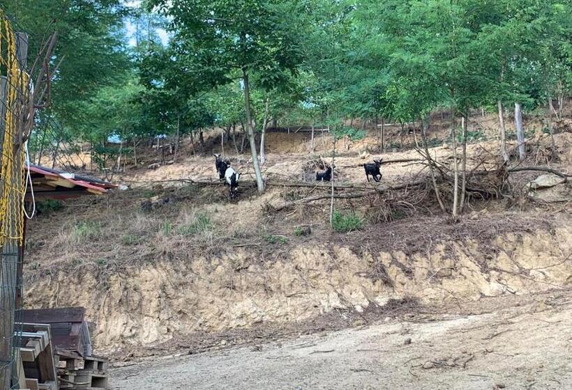 ベッドアンドブレックファースト Casa Tavasso