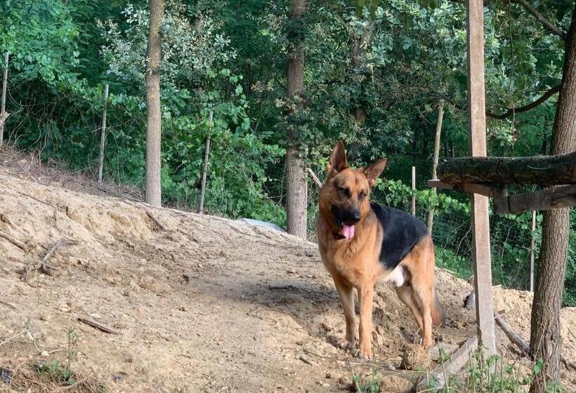 ベッドアンドブレックファースト Casa Tavasso