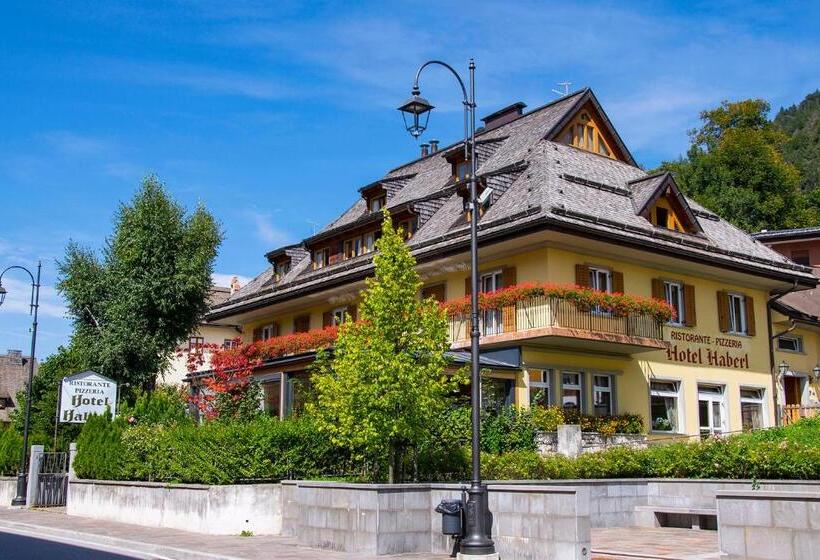 בית מלון כפרי Haberl