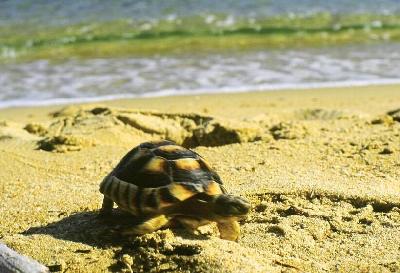 ホテル Igv Club Santaclara