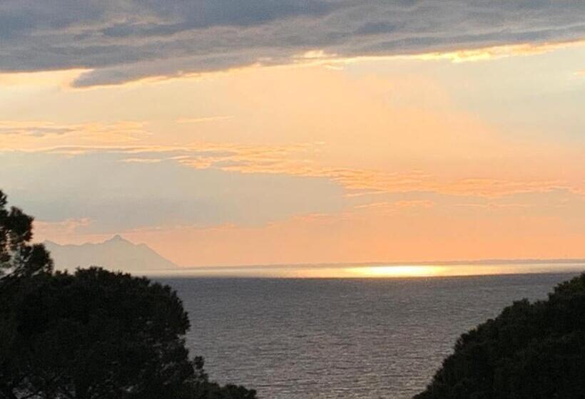 酒店 La Conchiglia