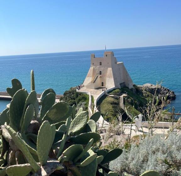 酒店 La Conchiglia