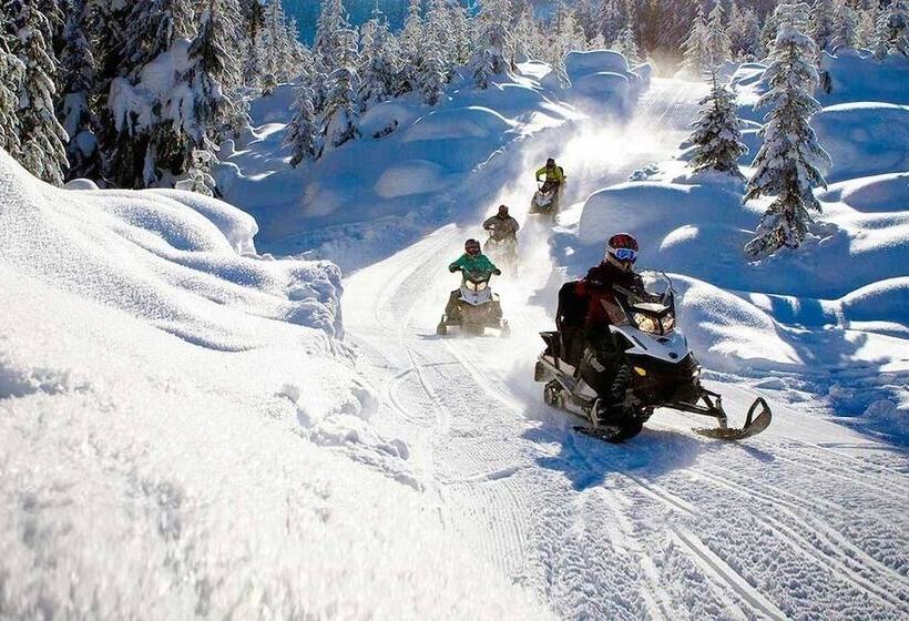 فندق Meublè La Betulla