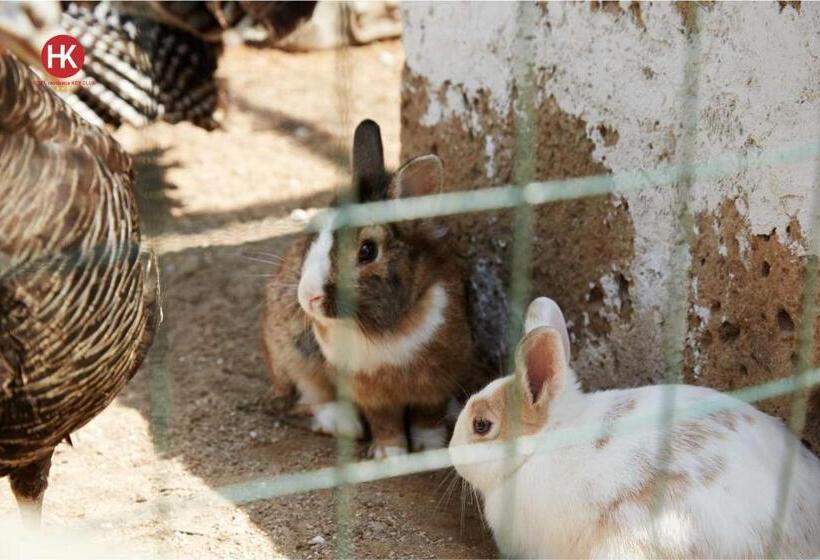 בית מלון כפרי Residence Key Club