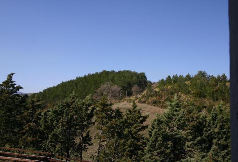 בית מלון כפרי Terre D'orcia