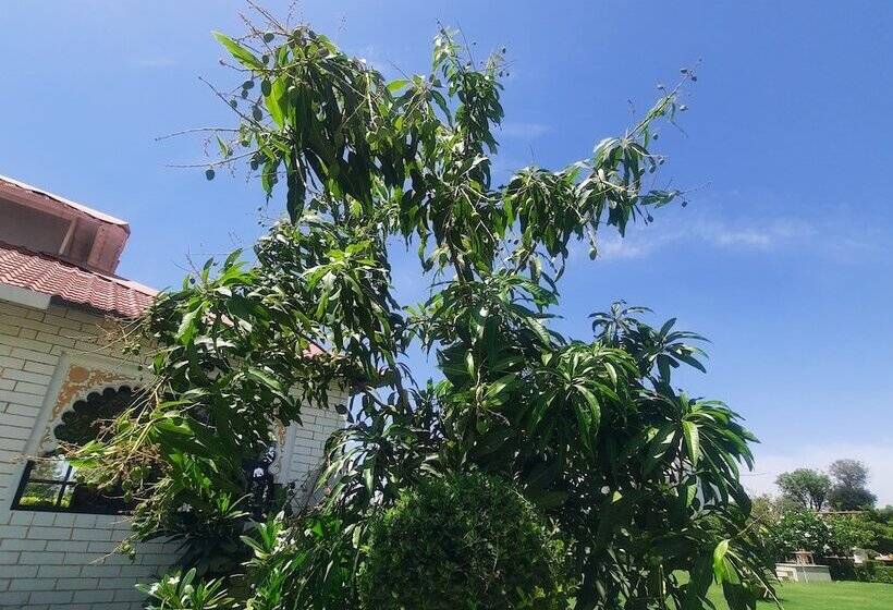 ホテル Yash Veer Resort