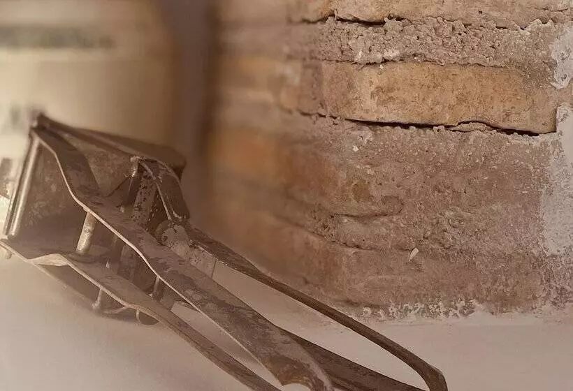 Hotelli Art Boutique La Casona De Las Flores