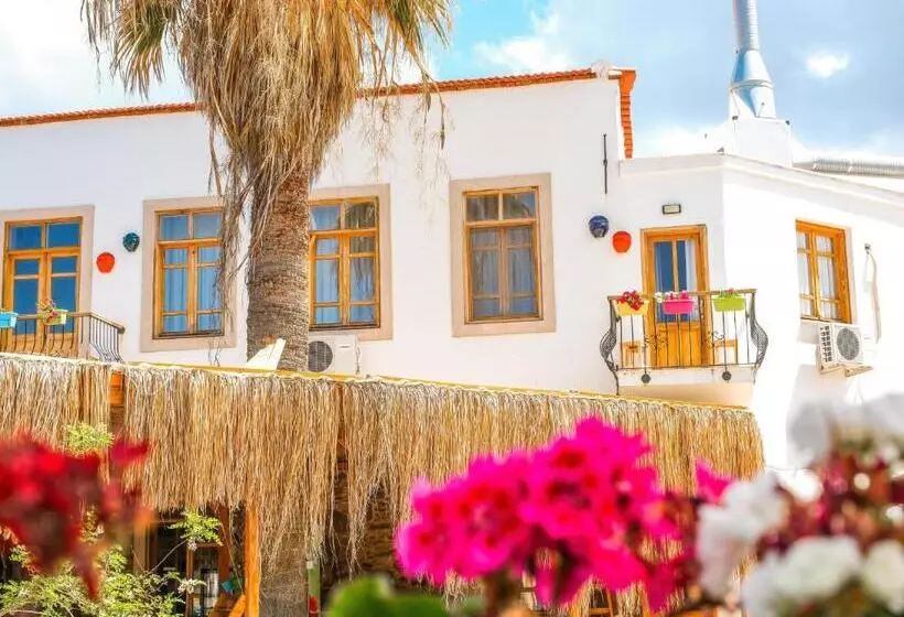 Hotelli çeşme Pürhayal Pansiyon