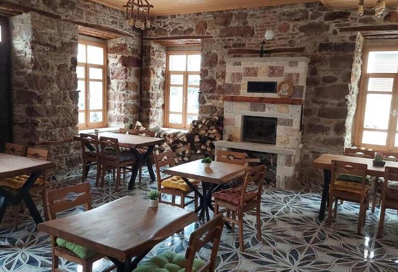 酒店 çeşme Pürhayal Pansiyon