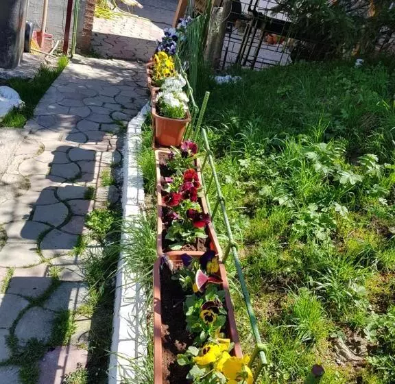 Pension Bran Ioana