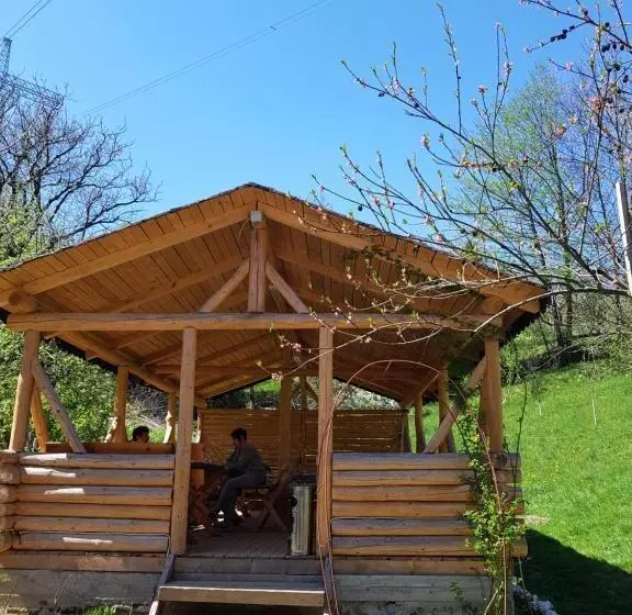 Pension Bran Ioana