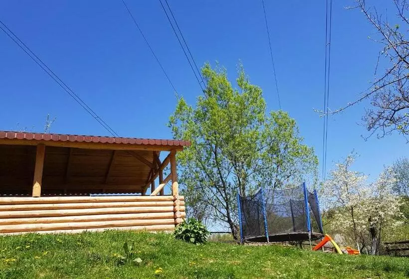 Pension Bran Ioana