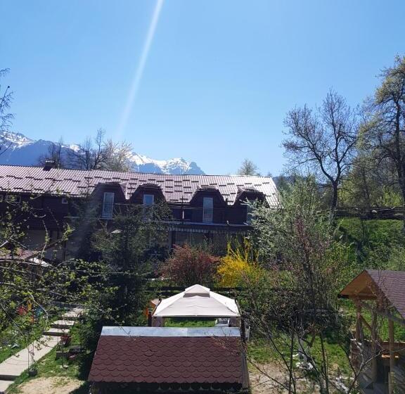 Pension Bran Ioana