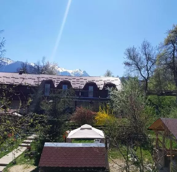 Pension Bran Ioana