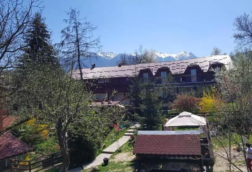 Pension Bran Ioana