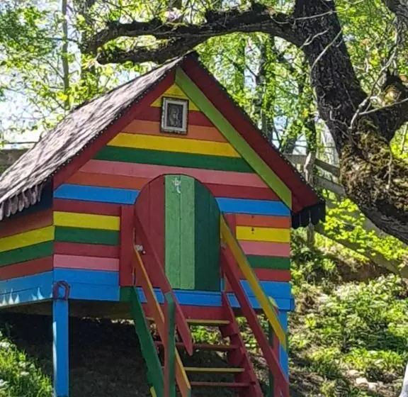 Pension Bran Ioana