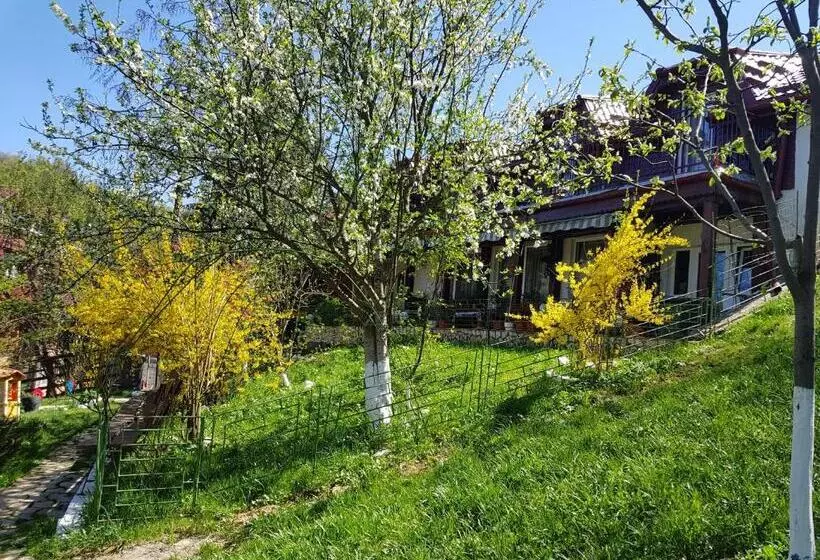 Pension Bran Ioana