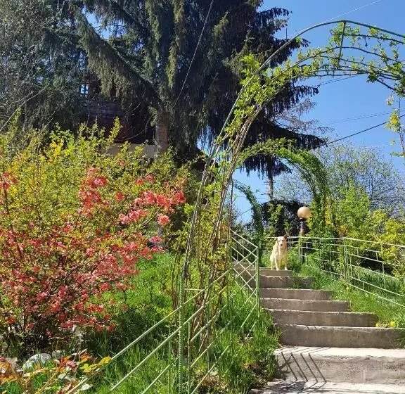Pension Bran Ioana