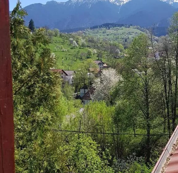 Pension Bran Ioana
