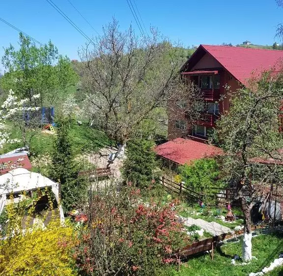 Pension Bran Ioana