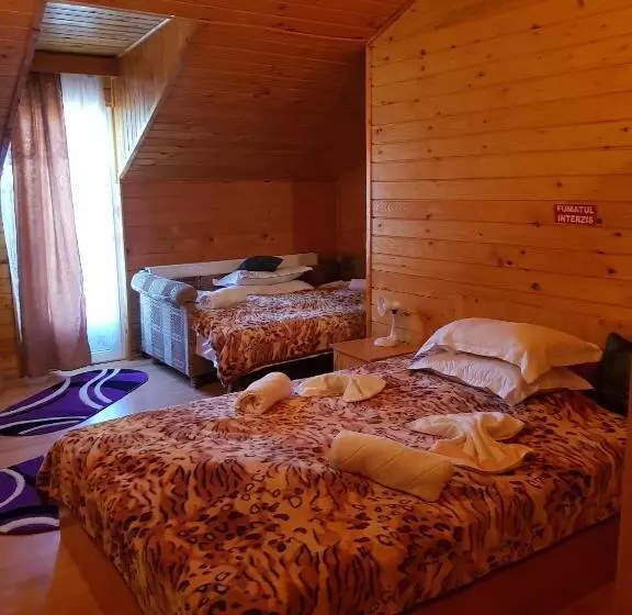 Pension Bran Ioana