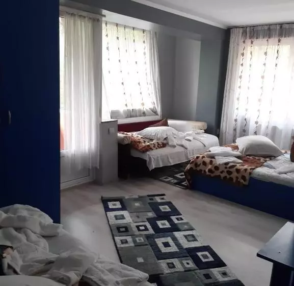 Pension Bran Ioana