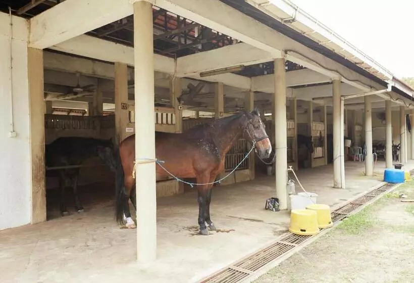 Terengganu Equestrian Resort