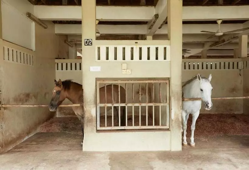 Terengganu Equestrian Resort