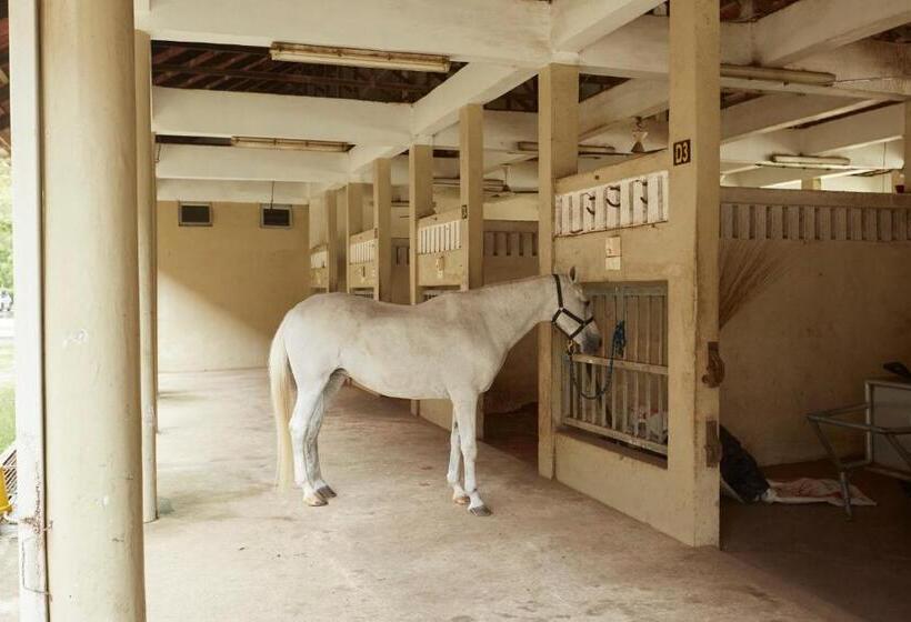 Terengganu Equestrian Resort