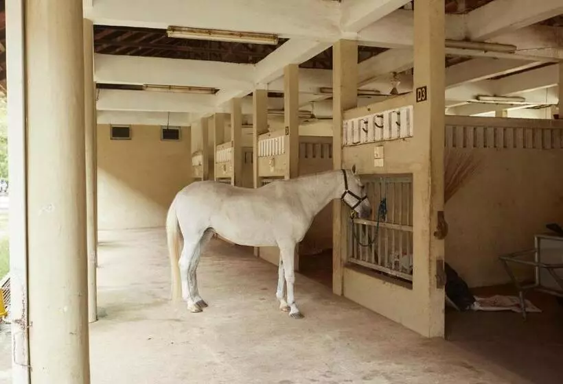 Terengganu Equestrian Resort