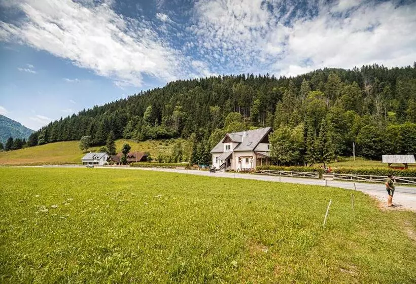 هاستل Cvet Gora  Camping, Glamping And Accomodations