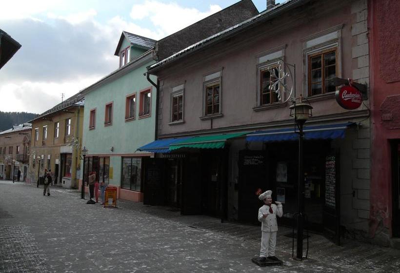 住宿加早餐  Apartments And Suites Kremnica