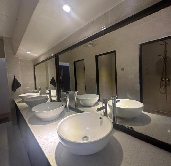 تختخواب و صبحانه Downtown Hostel