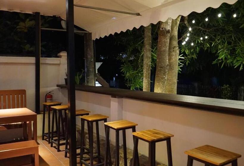 تختخواب و صبحانه Downtown Hostel