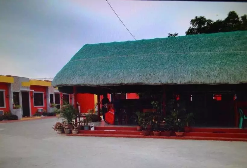 تختخواب و صبحانه Nitelife Transient House