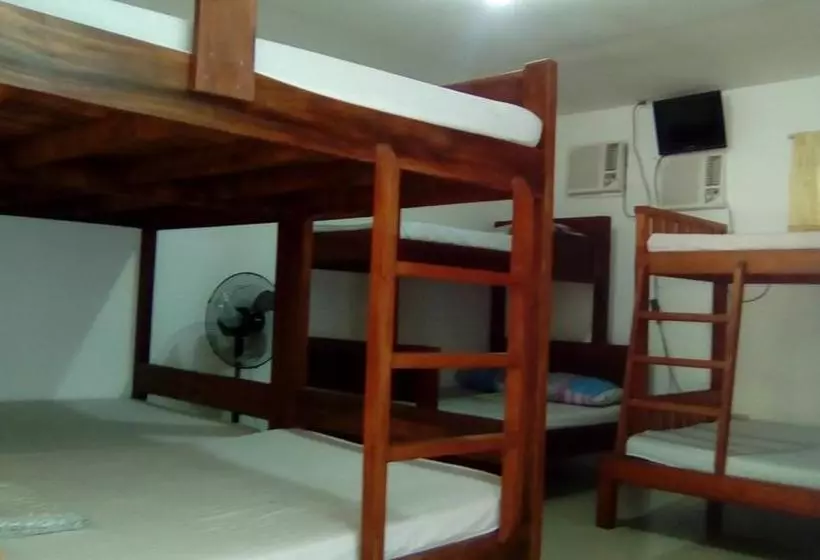 تختخواب و صبحانه Nitelife Transient House