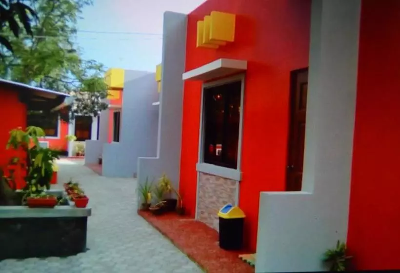 تختخواب و صبحانه Nitelife Transient House