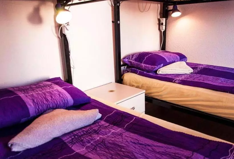 Goldy Hostel