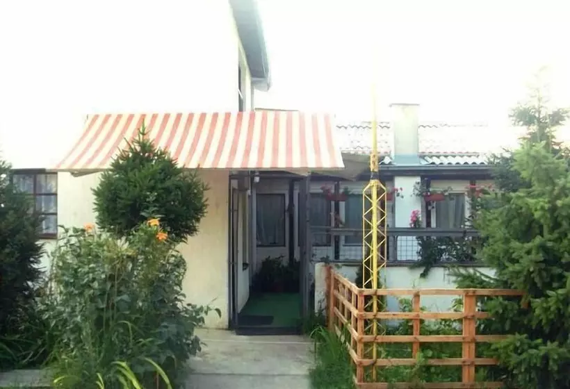 Hostel Domestika