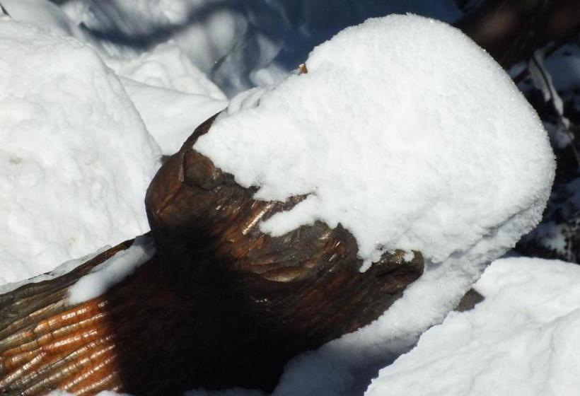 استراحتگاه Chaty Jasná