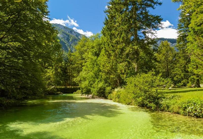 Vila Park B&b   Adults Only