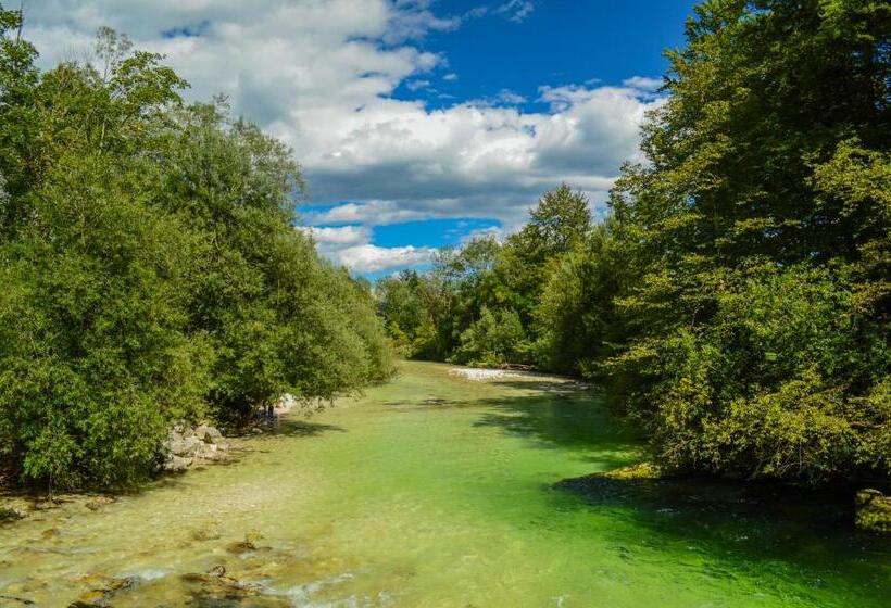 Vila Park B&b   Adults Only