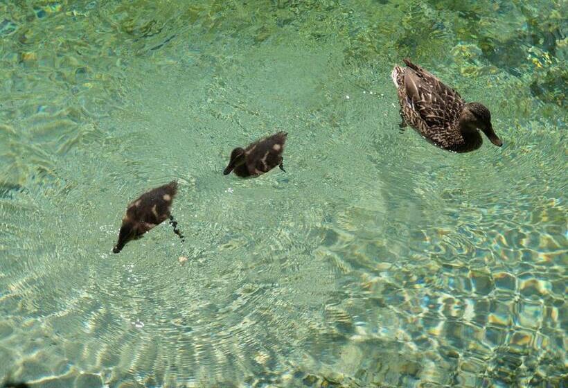 Vila Park B&b   Adults Only