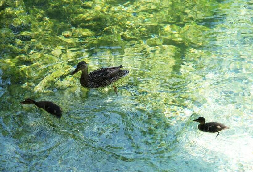 Vila Park B&b   Adults Only