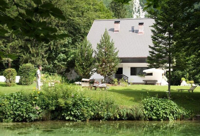 Vila Park B&b   Adults Only