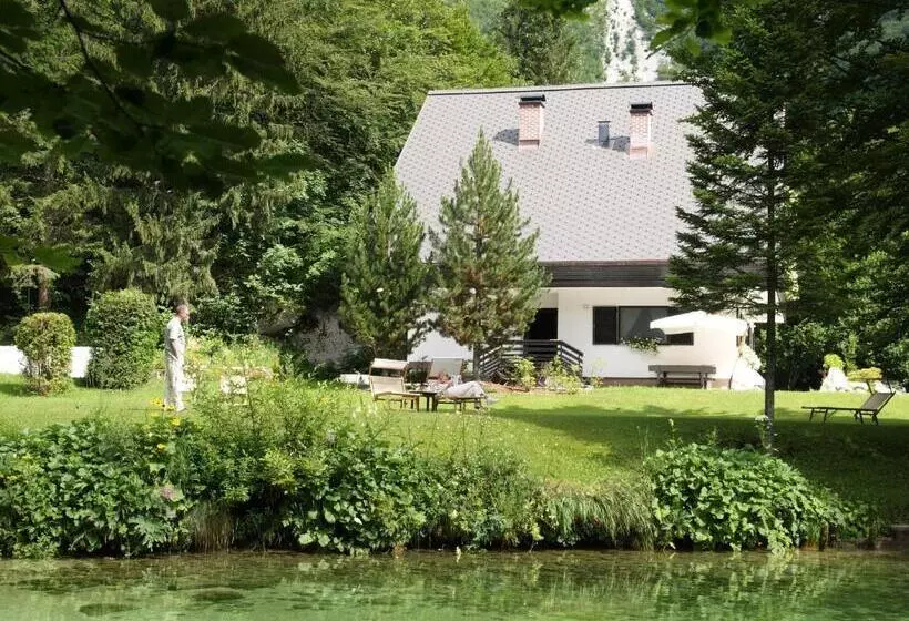 Vila Park B&b   Adults Only