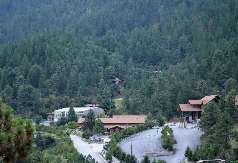 Hotelli Bosques De Monterreal