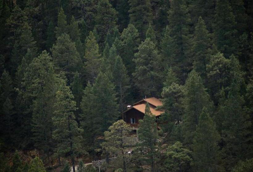 Отель Bosques De Monterreal