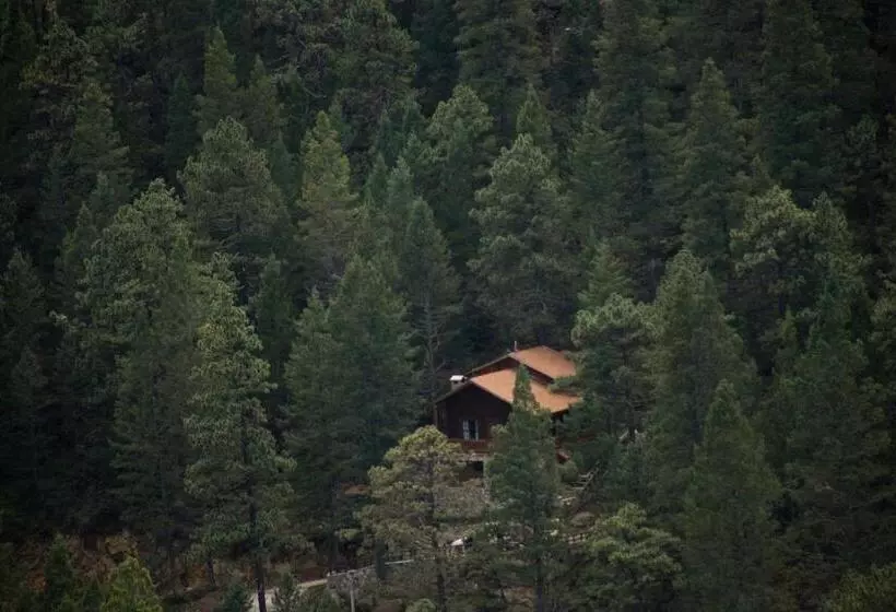 Hotelli Bosques De Monterreal