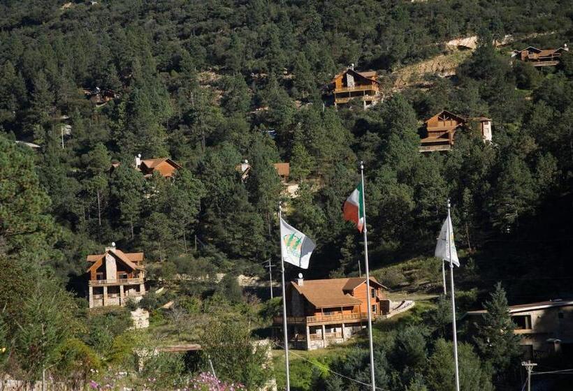 Отель Bosques De Monterreal